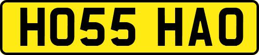 HO55HAO