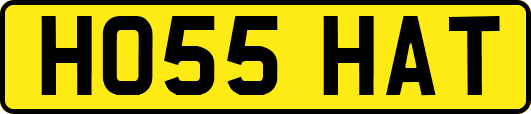 HO55HAT