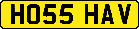 HO55HAV