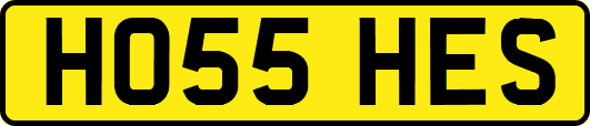 HO55HES
