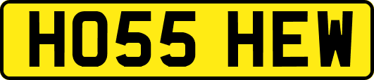 HO55HEW