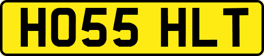 HO55HLT