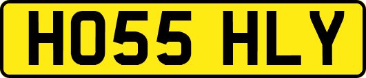 HO55HLY