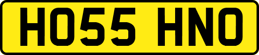 HO55HNO
