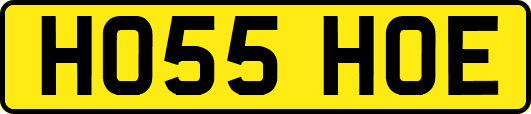 HO55HOE