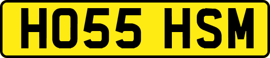 HO55HSM