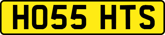 HO55HTS