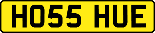 HO55HUE