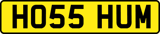 HO55HUM