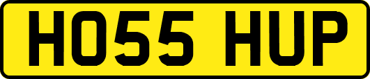 HO55HUP