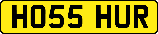 HO55HUR