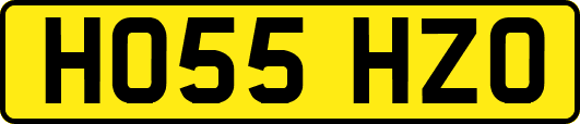 HO55HZO