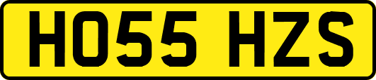 HO55HZS