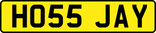 HO55JAY