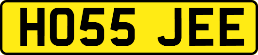 HO55JEE