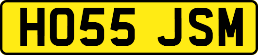 HO55JSM
