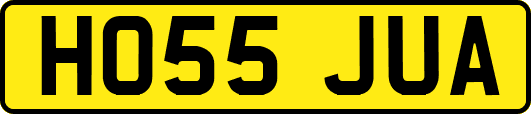 HO55JUA