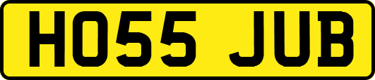 HO55JUB