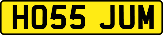 HO55JUM