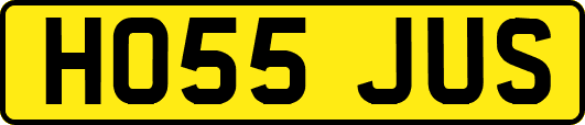 HO55JUS