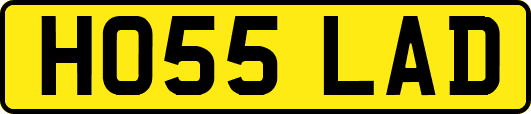 HO55LAD