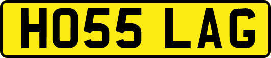 HO55LAG