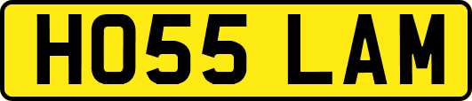HO55LAM