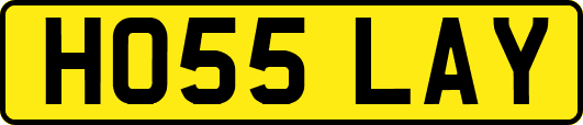 HO55LAY