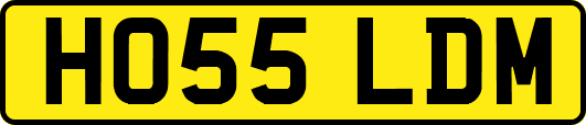 HO55LDM