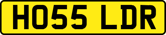 HO55LDR