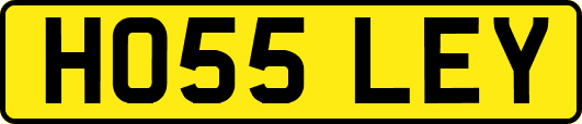 HO55LEY