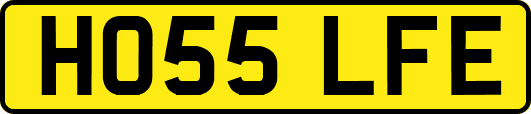 HO55LFE