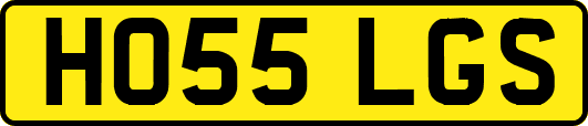 HO55LGS