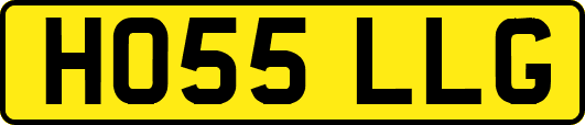 HO55LLG