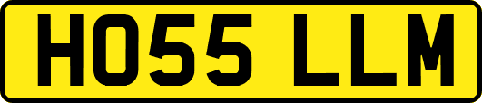 HO55LLM