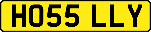 HO55LLY