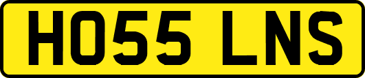 HO55LNS