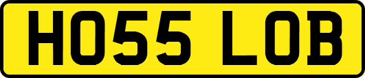 HO55LOB