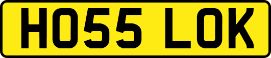 HO55LOK