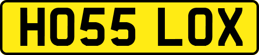 HO55LOX