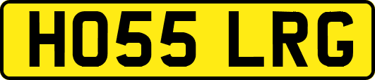 HO55LRG