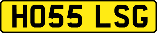 HO55LSG