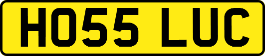 HO55LUC