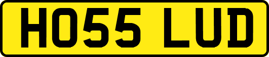 HO55LUD