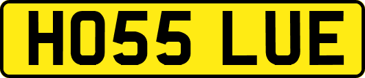 HO55LUE