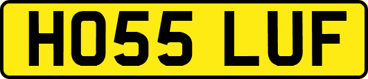 HO55LUF