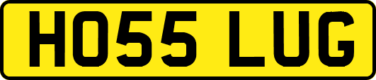 HO55LUG