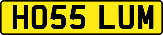 HO55LUM