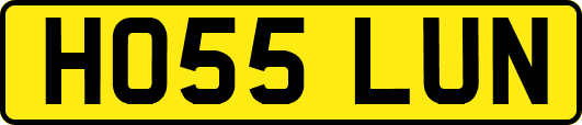 HO55LUN