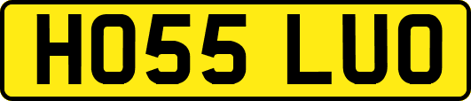 HO55LUO